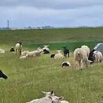 Ostwind Norddeich Lejlighed