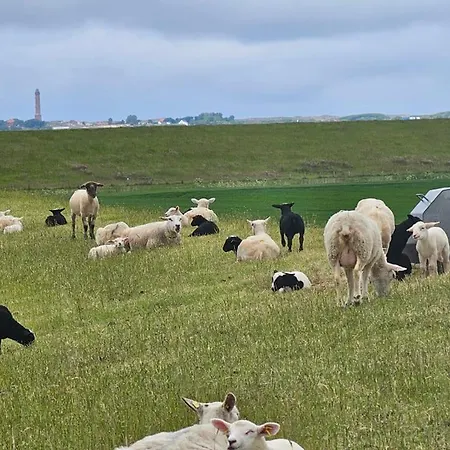 Ostwind Norddeich Lejlighed